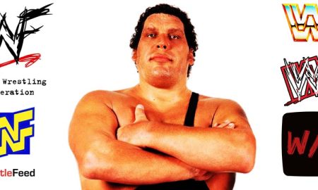 Andre The Giant Article Pic 6 WrestleFeed App