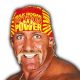 Hulk Hogan Article Pic 20 WrestleFeed App