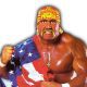 Hulk Hogan US American Flag 1991 WWF WrestleFeed App