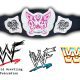 WWE Divas Championship Title Belt Article Pic WrestleFeed App