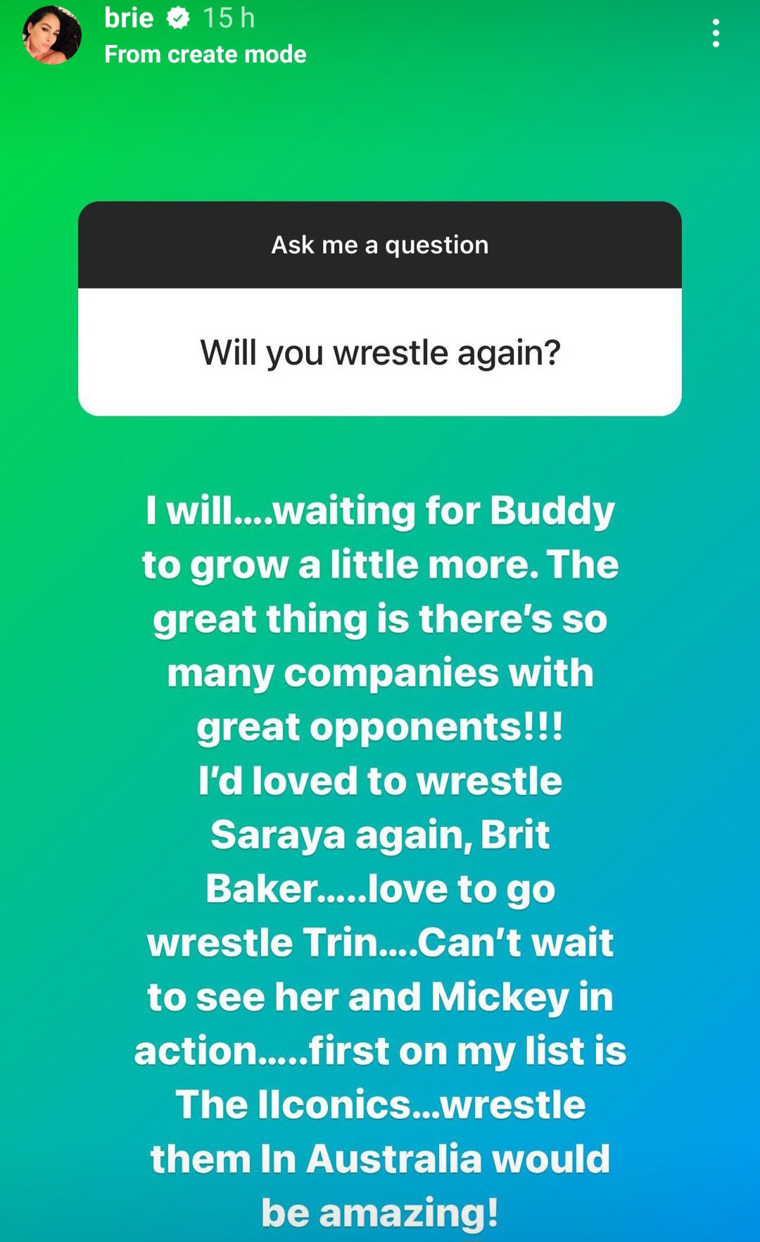 Brie Bella Plans To Return To Wrestling 2023