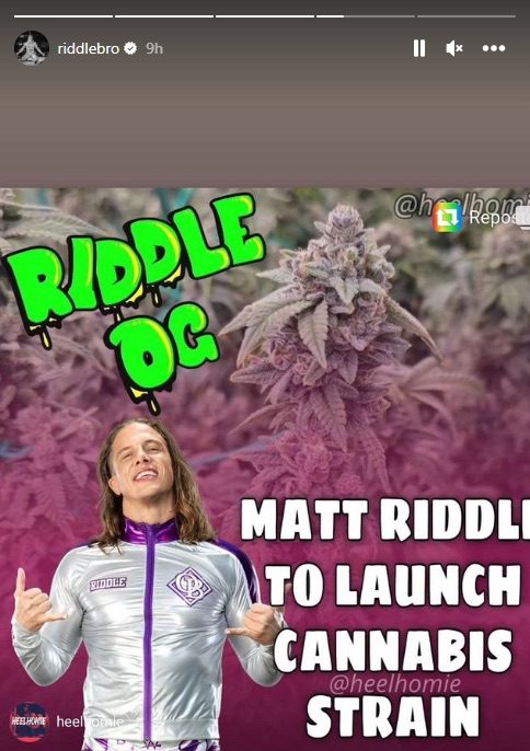Matt Riddle OG Cannabis Strain