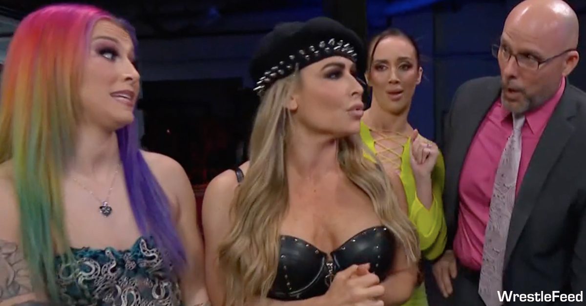 WWE Star Natalya Undergoes Breast Reduction Surgery (Photo) - WWF