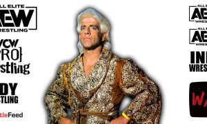 Ric Flair AEW All Elite Wrestling Article Pic 10 WrestleFeed App