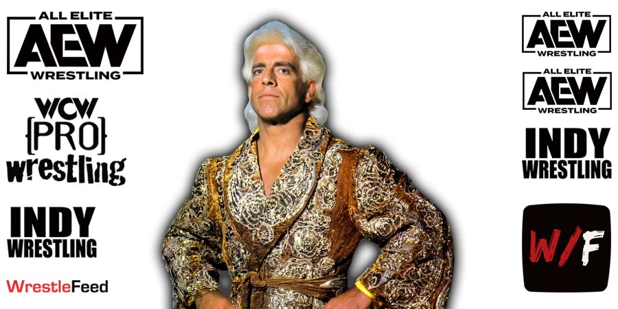 Ric Flair AEW All Elite Wrestling Article Pic 10 WrestleFeed App