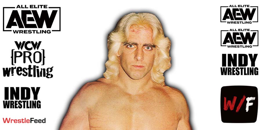 Ric Flair AEW All Elite Wrestling Article Pic 12 WrestleFeed App