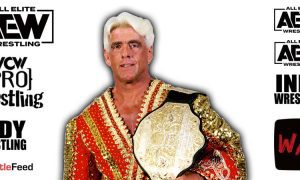 Ric Flair AEW All Elite Wrestling Article Pic 13 WrestleFeed App