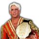 Ric Flair AEW All Elite Wrestling Article Pic 13 WrestleFeed App