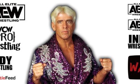 Ric Flair AEW All Elite Wrestling Article Pic 14 WrestleFeed App