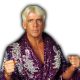 Ric Flair AEW All Elite Wrestling Article Pic 14 WrestleFeed App