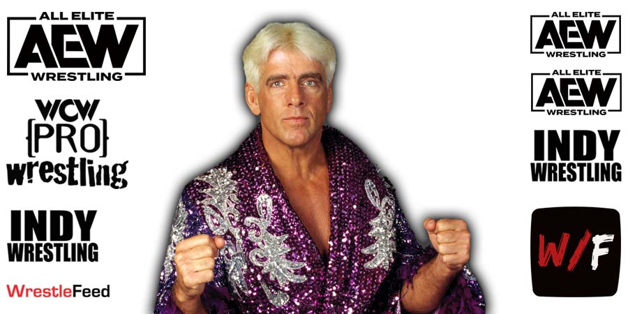 Ric Flair AEW All Elite Wrestling Article Pic 14 WrestleFeed App