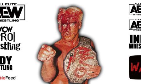 Ric Flair AEW All Elite Wrestling Article Pic 15 WrestleFeed App