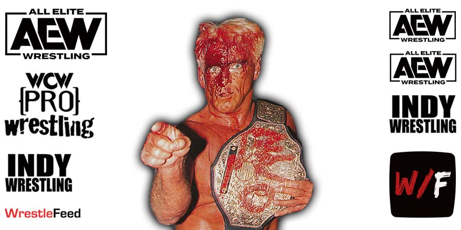 Ric Flair AEW All Elite Wrestling Article Pic 15 WrestleFeed App