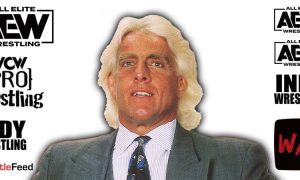 Ric Flair AEW All Elite Wrestling Article Pic 16 WrestleFeed App