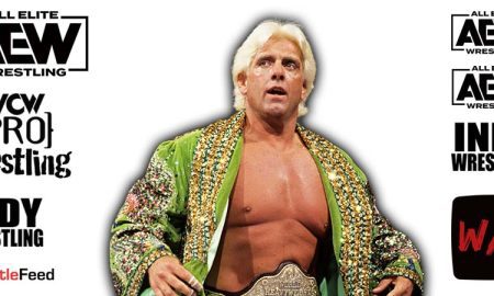Ric Flair AEW All Elite Wrestling Article Pic 8 WrestleFeed App