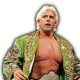 Ric Flair AEW All Elite Wrestling Article Pic 8 WrestleFeed App