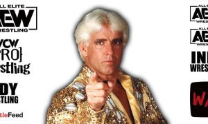 Ric Flair AEW All Elite Wrestling Article Pic 9 WrestleFeed App
