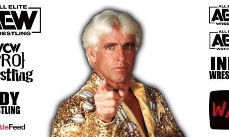 Ric Flair AEW All Elite Wrestling Article Pic 9 WrestleFeed App