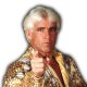 Ric Flair AEW All Elite Wrestling Article Pic 9 WrestleFeed App