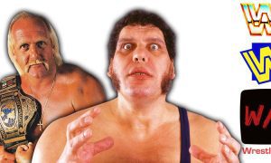 Hulk Hogan And Andre The Giant 1988 WWF Article Pic History WrestleFeed App
