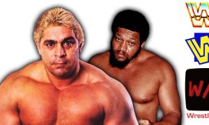 Dino Bravo And Ernie Ladd Article Pic History WrestleFeed App