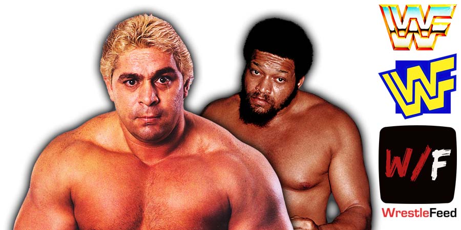 Dino Bravo And Ernie Ladd Article Pic History WrestleFeed App
