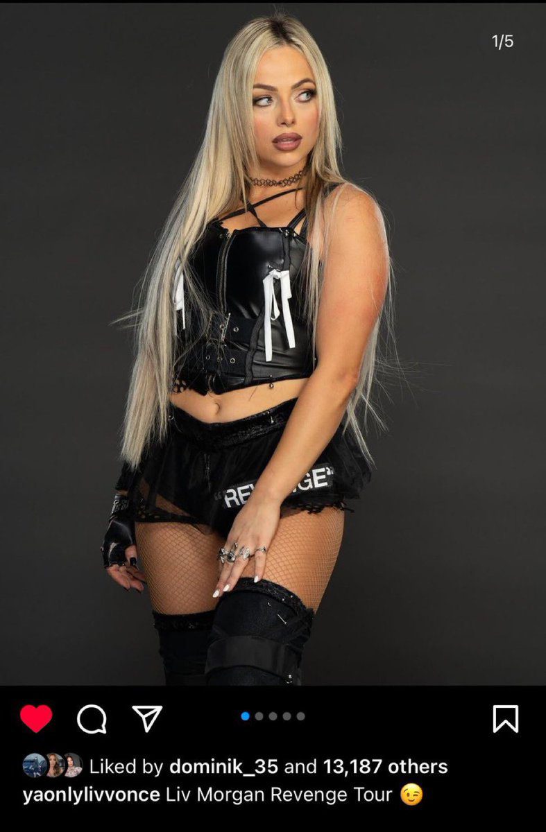 Dominik Mysterio Liked Liv Morgan Instagram Photo