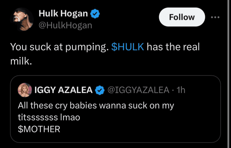 Hulk Hogan Iggy Azalea Deleted Tweet