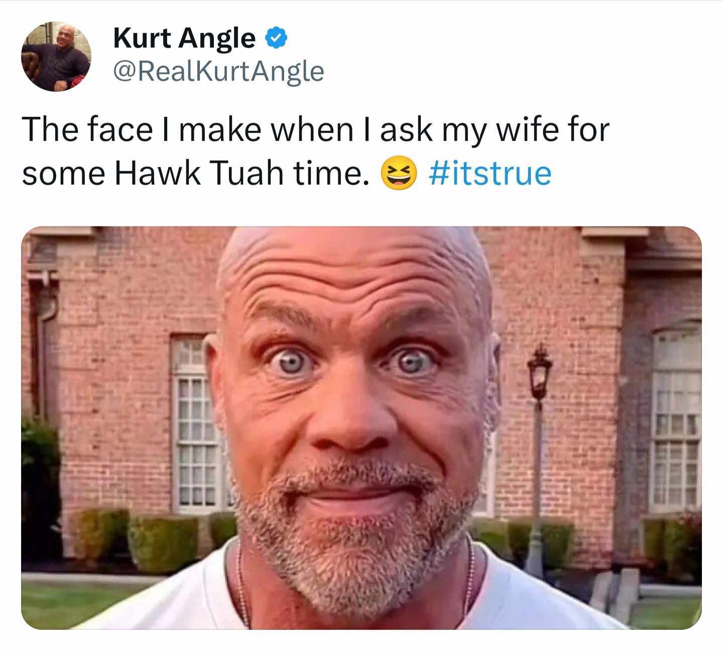 Kurt Angle Hawk Tuah Meme