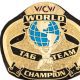 AEW World Tag Team Championship Title Belt Article Pic WrestleFeed App