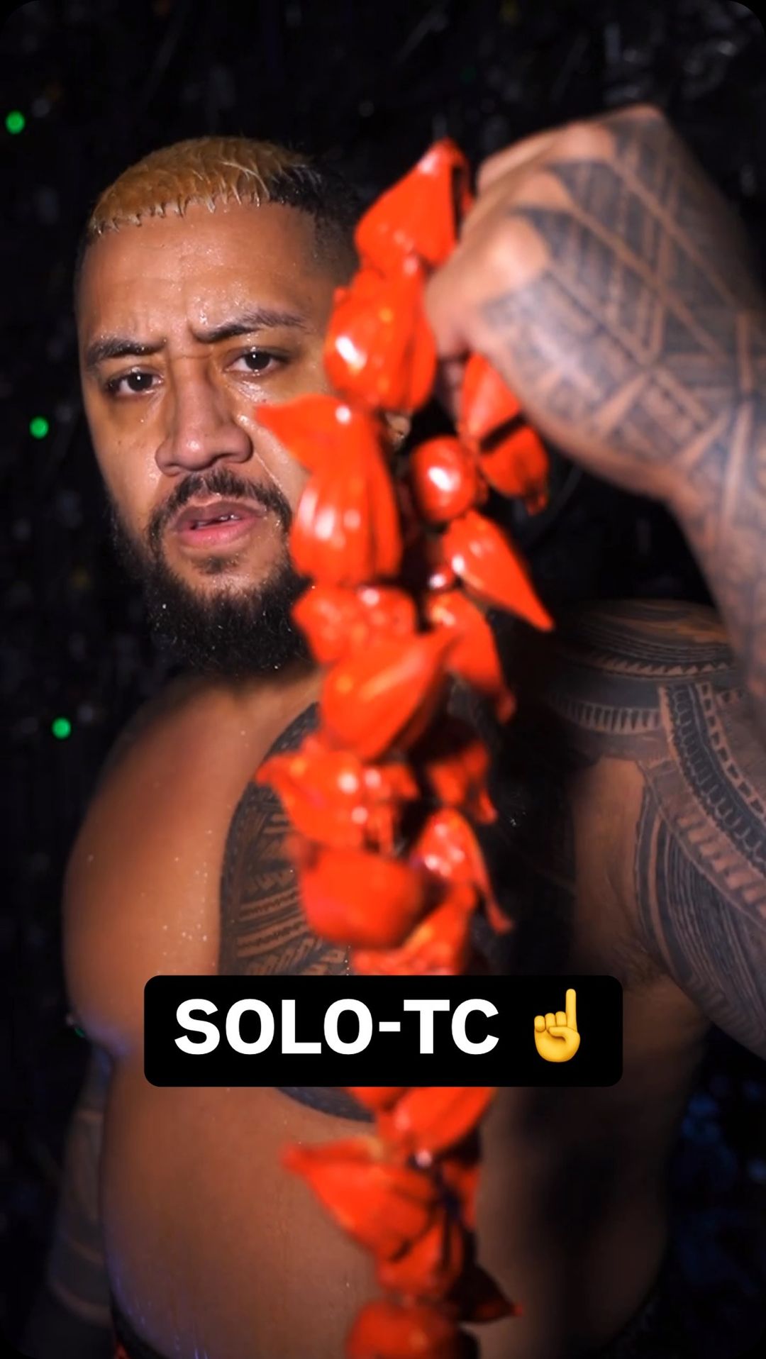 Solo Sikoa Solo-TC