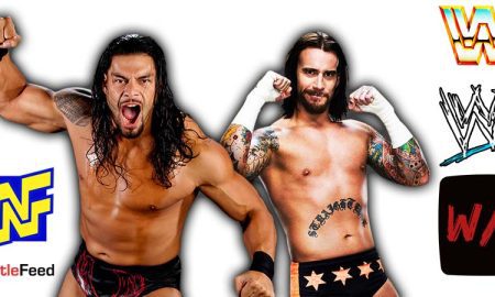 Roman Reigns And CM Punk Article Pic 4 WrestleFeed App