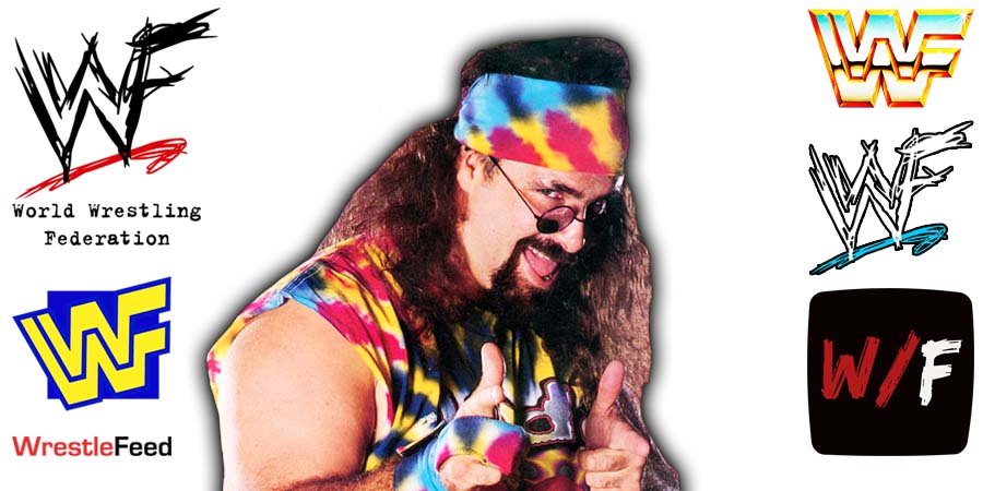 Dude Love Mick Foley Article Pic WWF WWE WrestleFeed App