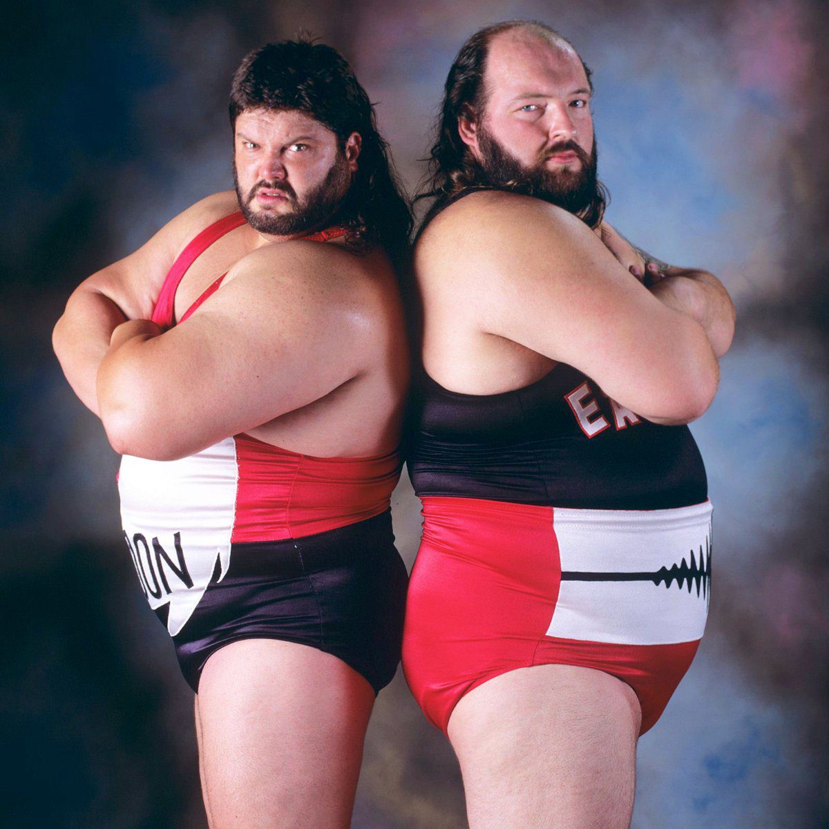 The Natural Disasters Typhoon Fred Ottman Earthquake John Tenta WWF Tag Team