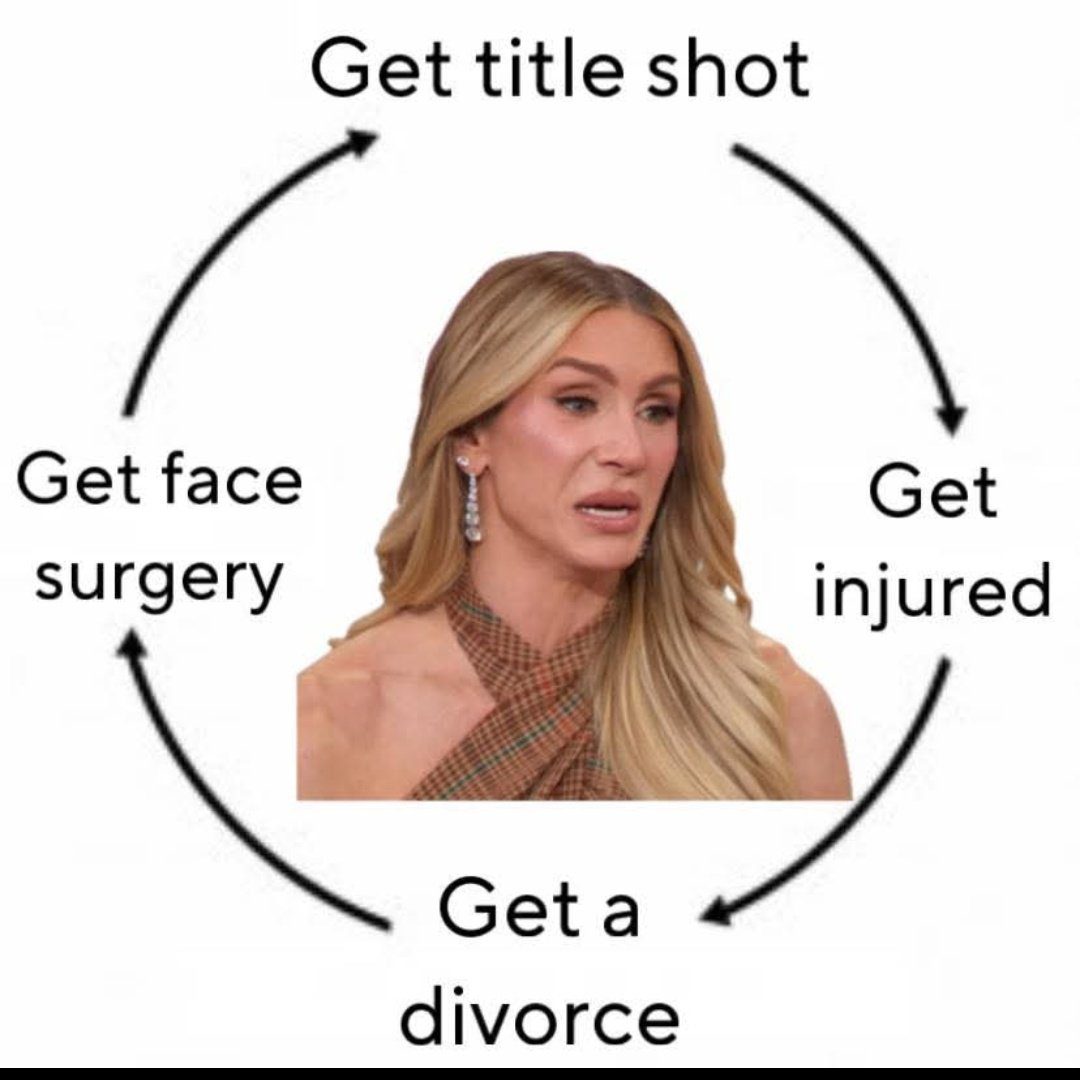 Charlotte Flair face surgery meme