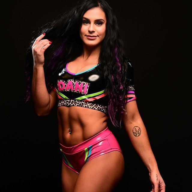 Dani Palmer WWE NXT