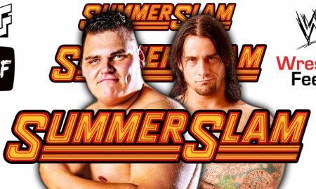 GUNTHER Vs CM Punk SummerSlam 2025 5 WrestleFeed App