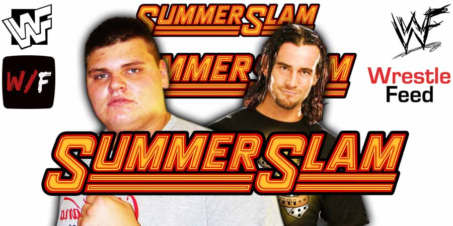 GUNTHER Vs CM Punk SummerSlam 2025 6 WrestleFeed App