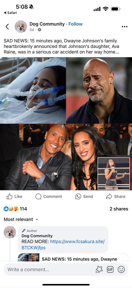Ava The Rock Dwayne Johnson Daughter Fake Death Accident Rumor