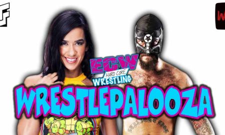 AJ Lee And CM Punk Wrestlepalooza 5 WrestleFeed App