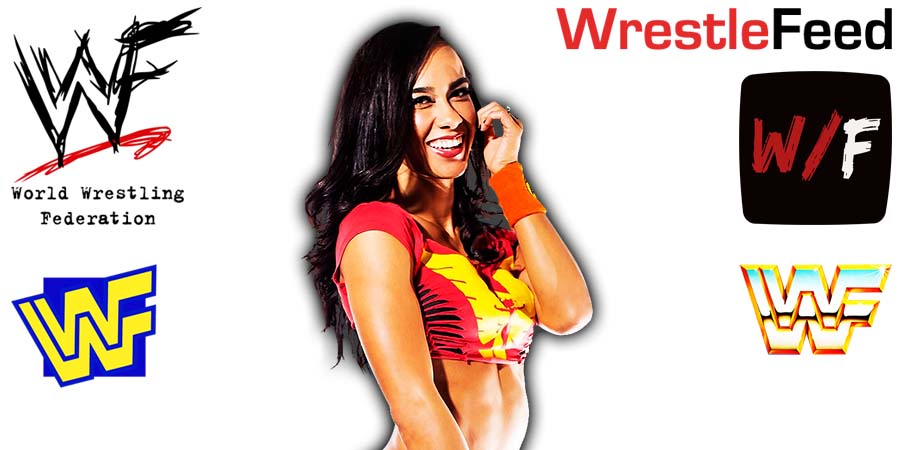 AJ Lee Article Pic 4 WrestleFeed App