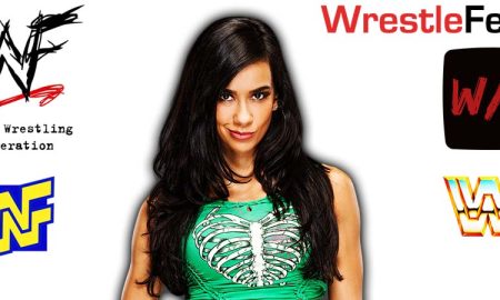 AJ Lee Article Pic 5 WrestleFeed App