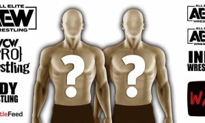 AEW All Elite Wrestling Logo Vacant Tag Team WrestleFeed App