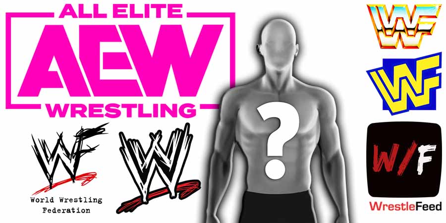 AEW All Elite Wrestling WWE Logos Vacant Woman Diva Singles Wrestler WrestleFeed App