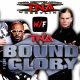 The Hardy Boyz Matt Jeff Vs The Dudley Boyz Team 3D Devon D-Von Bully Bubba Ray 3 Bound For Glory TNA 2025 WrestleFeed App