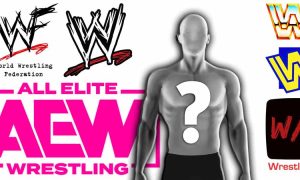 WWE AEW All Elite Wrestling Logos Vacant Woman Diva Singles Wrestler WrestleFeed App