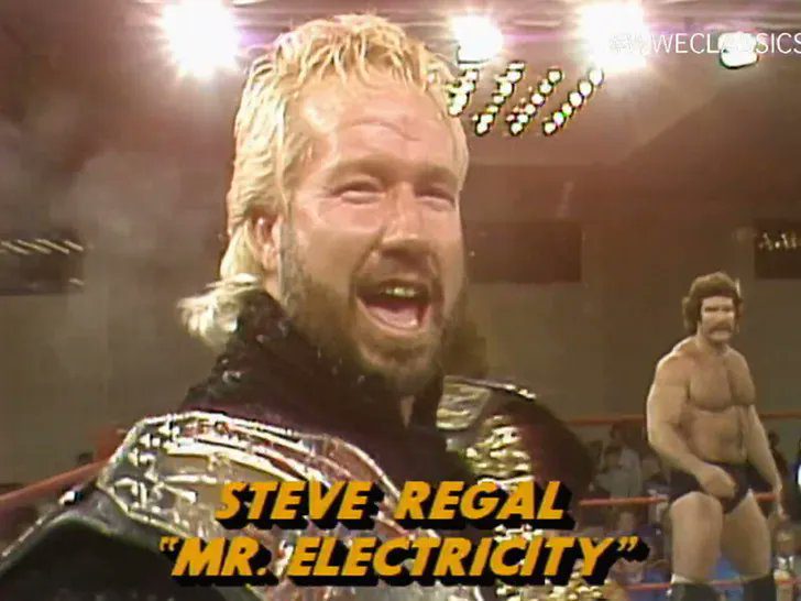 Mr. Electricity Steve Regal